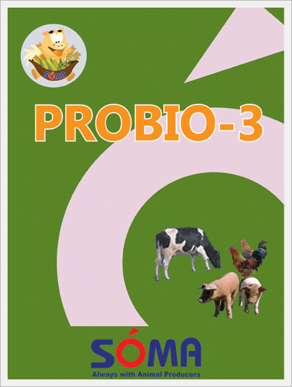 PROBIO-3 (Excellent Combination for Yeast,...  Made in Korea